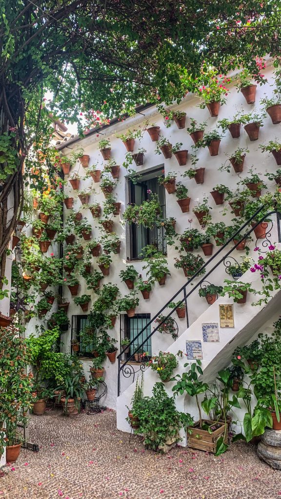 Patios de Córdoba