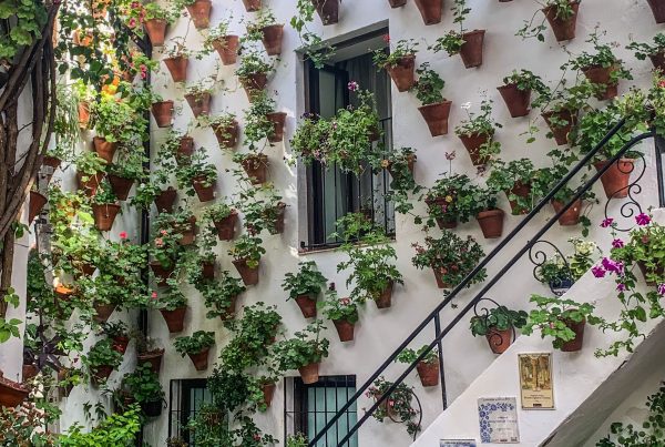 Patios de Córdoba