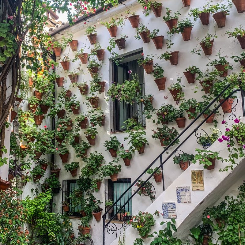 Patios de Córdoba